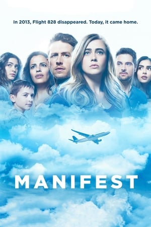 Manifest poszter