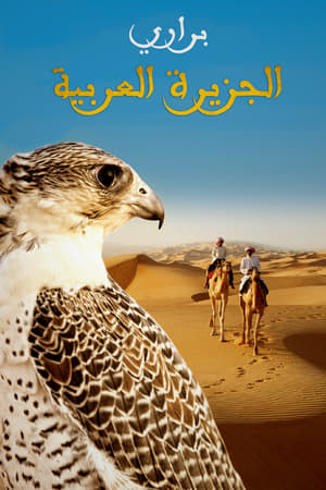 Wild Arabia poszter