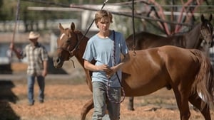 Lean on Pete háttérkép