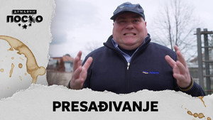 Државни посао 13. évad Ep.148 148. epizód