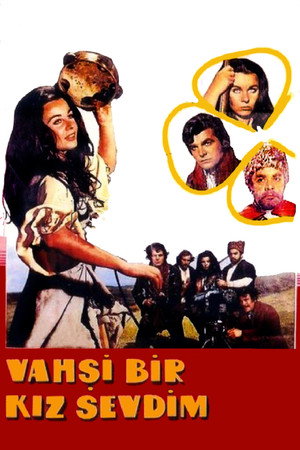 Vahşi Bir Kız Sevdim poszter