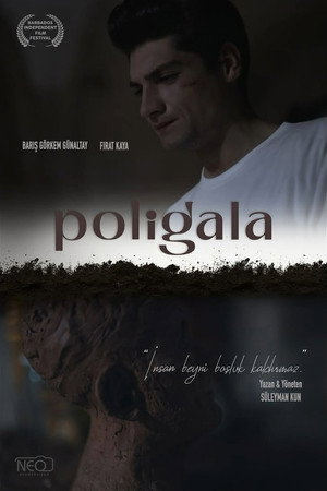 Poligala poszter