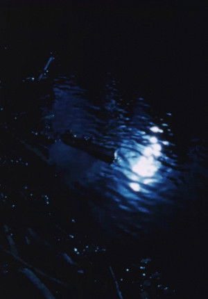 Swimming Stone poszter
