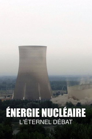 Die Atomkraft - Ende einer Ära? poszter