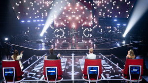 The Voice 14. évad Ep.3 3. epizód