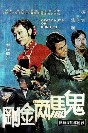 鬼馬兩金剛 poszter