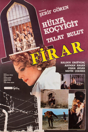 Firar poszter