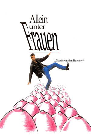 Allein unter Frauen poszter