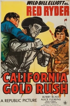 California Gold Rush poszter