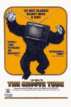 The Groove Tube poszter