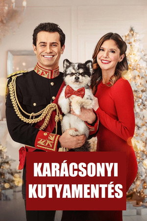 Karácsonyi kutyamentés poszter