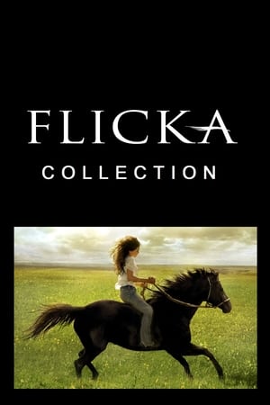 Flicka filmek