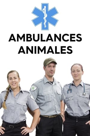 Ambulances animales poszter