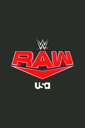 WWE Raw poszter