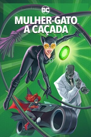 Catwoman: Hunted poszter