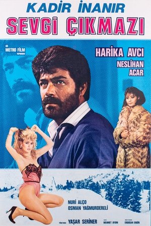 Sevgi Çıkmazı poszter