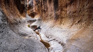 Into the Grand Canyon háttérkép