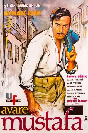 Avare Mustafa poszter