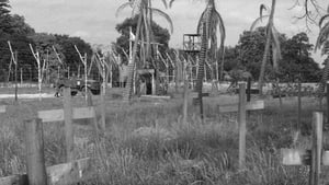 The Camp on Blood Island háttérkép