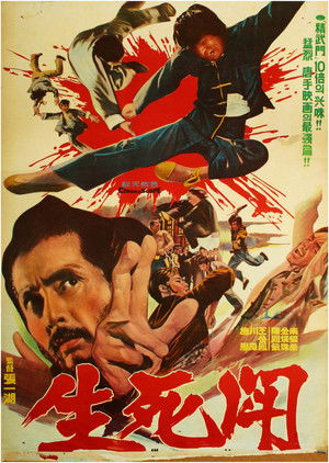 霹靂拳 poszter