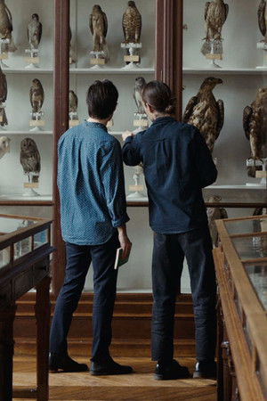 Langue des oiseaux poszter