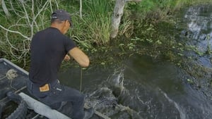 Swamp People 9. évad Ep.20 20. epizód