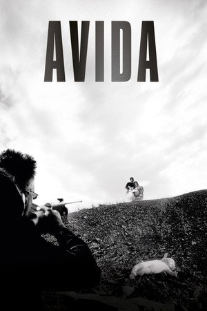Avida poszter