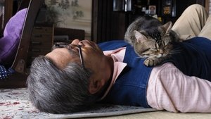 ねことじいちゃん háttérkép