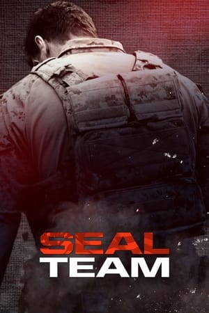 SEAL Team poszter