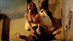 The Possession Experiment háttérkép