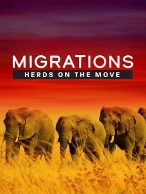 Migrations: Herds on the Move poszter