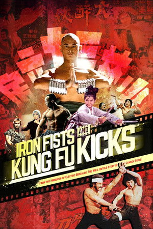 Iron Fists and Kung Fu Kicks poszter