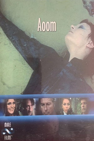 Aoom poszter
