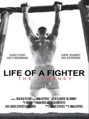 Life of a Fighter: The Journey poszter