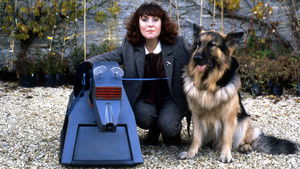 K-9 and Company kép