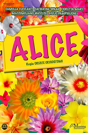 Alice