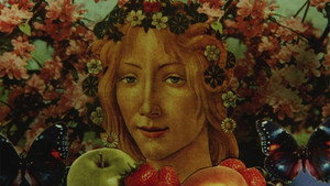 The Mystical Rose háttérkép