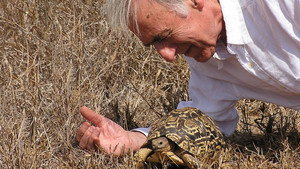 Az emlősök élete 1. évad Ep.4 Az éles metszőfogúak