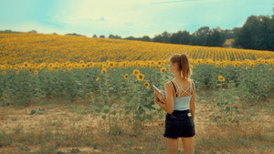 Se souvenir des tournesols háttérkép