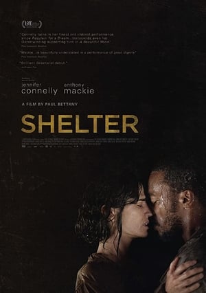 Shelter poszter