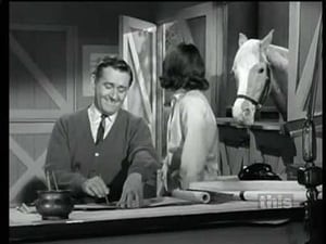 Mister Ed 2. évad Ep.26 26. epizód