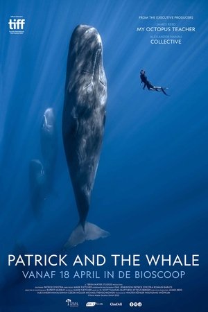 Patrick and the Whale poszter