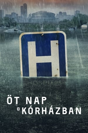 Öt nap a kórházban poszter