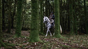 L'Ankou, l'Enfant et les Brigands háttérkép