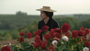 Madame Clicquot háttérkép