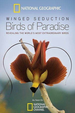 Winged Seduction: Birds of Paradise poszter