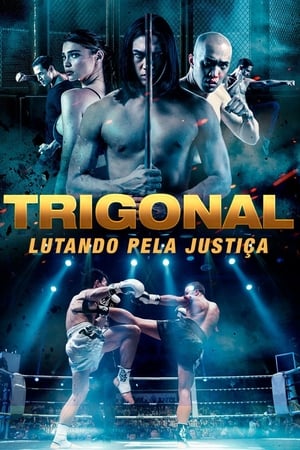 The Trigonal: Fight for Justice poszter