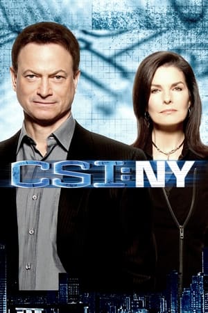 CSI: New York-i helyszínelők poszter