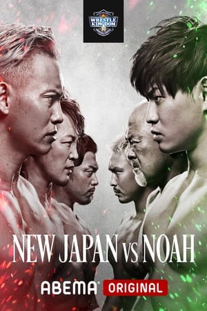 NJPW & NOAH: Wrestle Kingdom 16 - Night 3 poszter