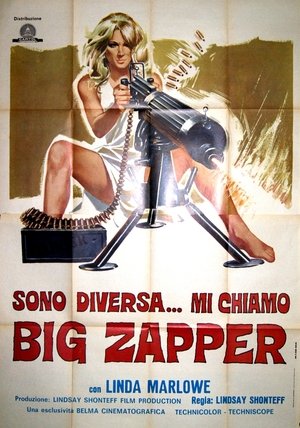 Big Zapper poszter